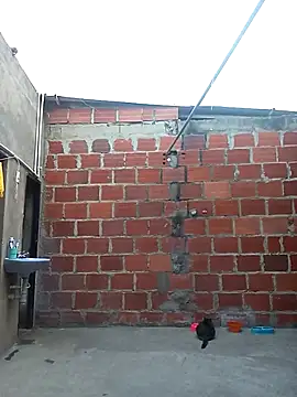 ariana d20 online show from 03.11.25