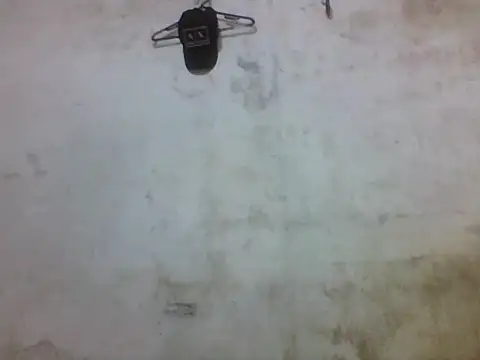 Leopardogonza online show from 10.20.25