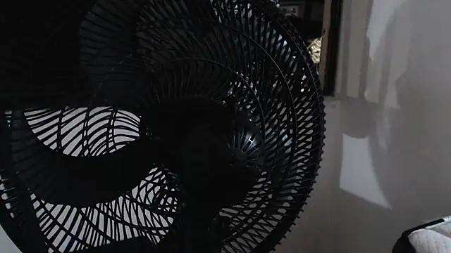 harry greg21 online show from 11.15.25