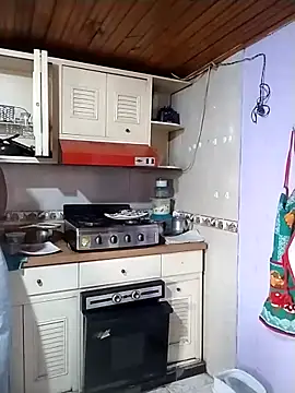 Snapshot of Camille_rose_ chatting on 03.15.25 Camille rose online show from 03.15.25