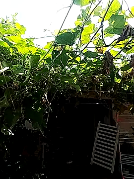 Snapshot of Putaepirocudo chatting on 04.14.26 Putaepirocudo online show from 04.14.26