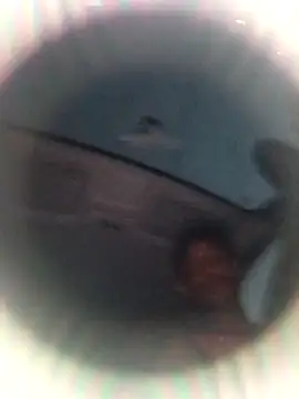 Snapshot of Ursonego chatting on 10.03.25 Ursonego online show from 10.03.25