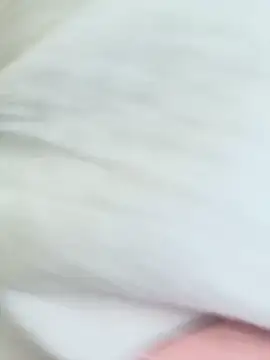 CarolaDrago online show from 03.15.25