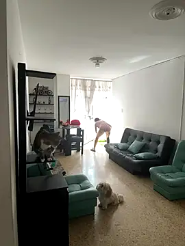 msschloee  online show from 11.15.25