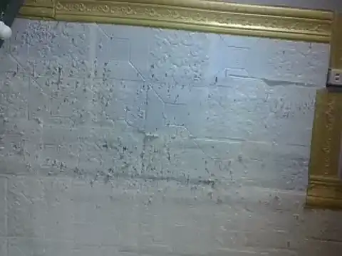 hairywetjhing online show from 07.12.26