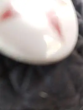 Snapshot of taaylor33 chatting on 02.27.26 taaylor33 online show from 02.27.26