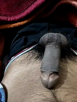 PAWARXX 0 online show from 01.09.25