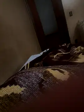 bigboy30X online show from 10.21.25