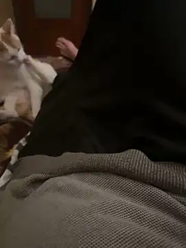 bigboy30X online show from 10.31.25