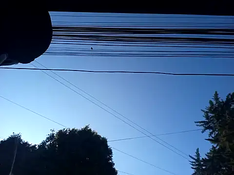 weedmanhot28 online show from 01.30.25