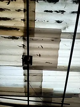 weedmanhot28 online show from 09.21.25