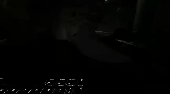 RawRyder8 online show from 03.12.25