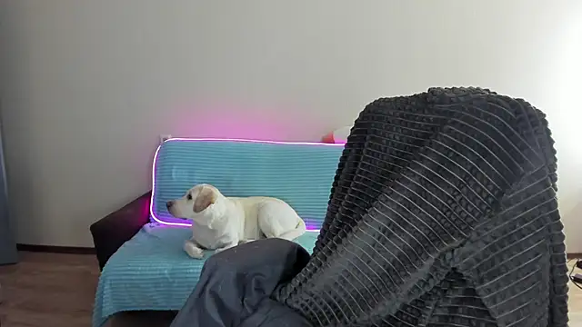 Liam sexy1 online show from 12.20.24