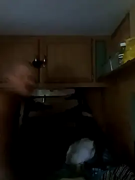 Snapshot of tjmacksjr chatting on 10.04.25 tjmacksjr online show from 10.04.25