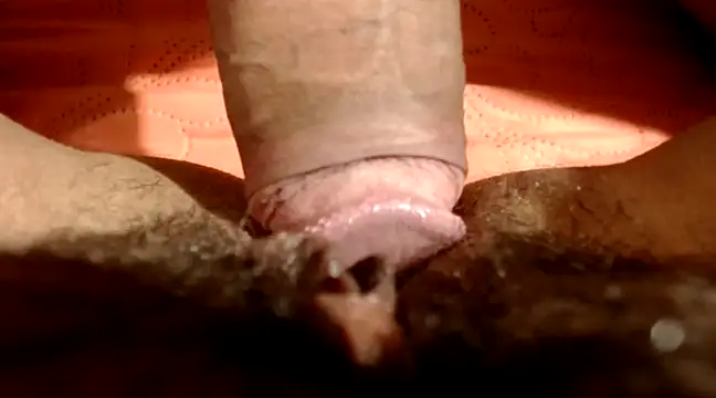 lolamike19 online show from 12.20.24