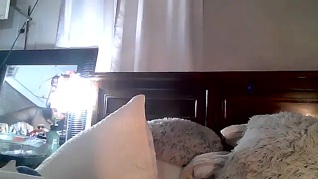 Snapshot of paiday chatting on 12.04.24 paiday online show from 12.04.24