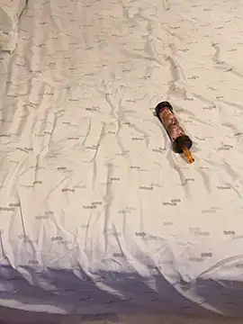 KingDerRico online show from 04.27.26