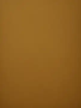 Snapshot of Chriso0007 chatting on 03.14.25 Chriso0007 online show from 03.14.25