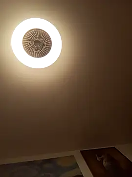 kgmrossetti4 online show from 11.07.25