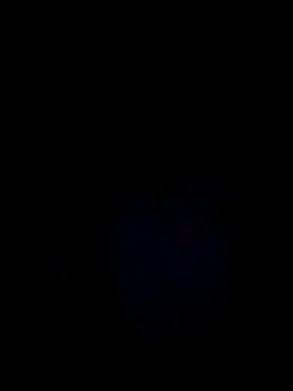 StaciGoodman online show from 12.29.24