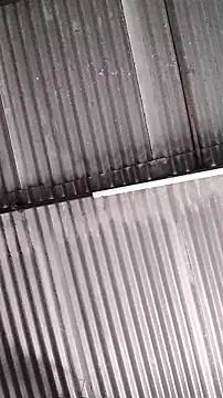 mendelicius online show from 02.11.26