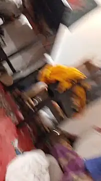 emma neko online show from 11.22.25