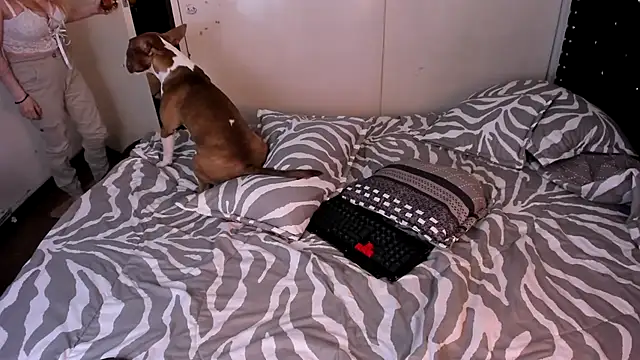 valerie luxe  online show from 01.15.26