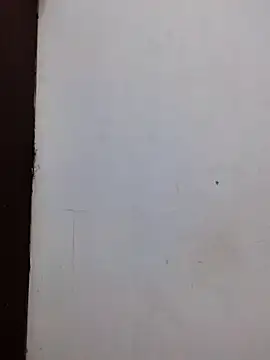 AmnionicDemeanor online show from 11.02.25