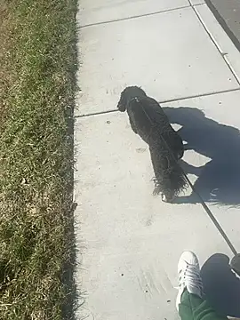 Esauhot online show from 02.24.25