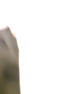 littlehornysons online show from 10.06.25