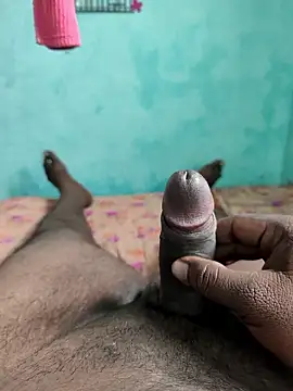 Snapshot of RoundHandler3 chatting on 01.12.26 RoundHandler3 online show from 01.12.26