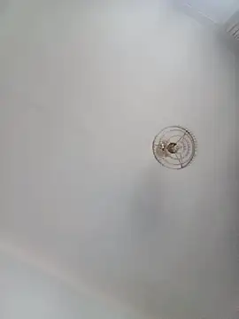 katymojadit online show from 01.20.25