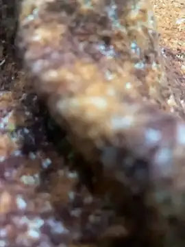 king cum  online show from 02.13.25