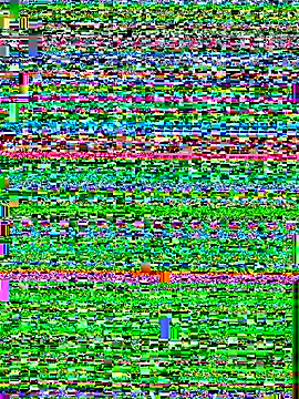 king cum  online show from 10.25.25