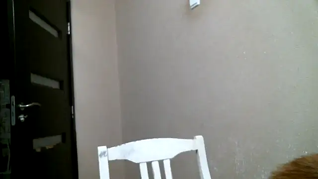 DennisXCaroll online show from 02.18.25