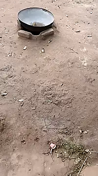 Snapshot of hairipussy2 chatting on 02.20.25 hairipussy2 online show from 02.20.25