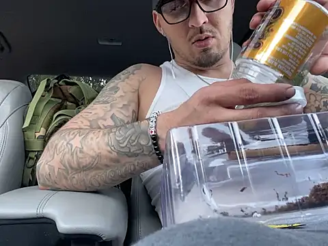 Antoniothedon online show from 01.11.25