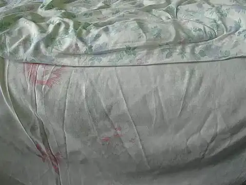 Tiger202441 online show from 12.18.24