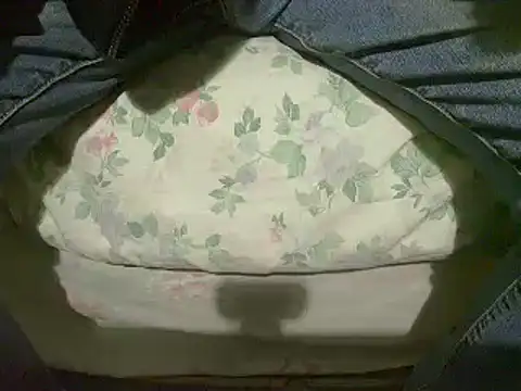 Tiger202441 online show from 01.12.25