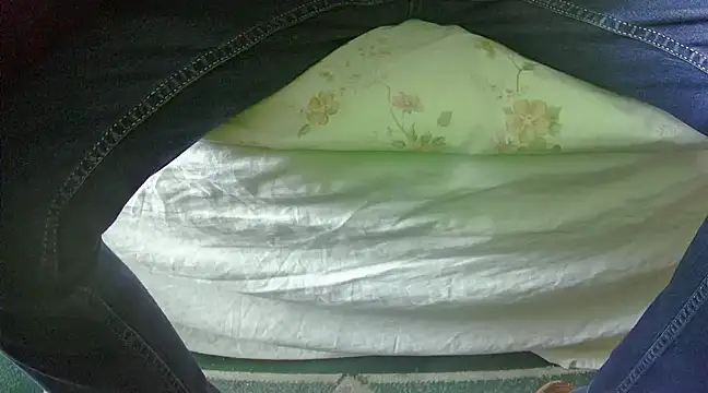 Tiger202441 online show from 02.27.25