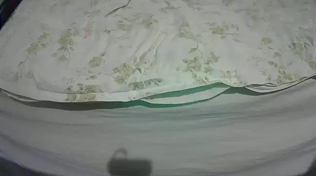 Tiger202441 online show from 03.04.25