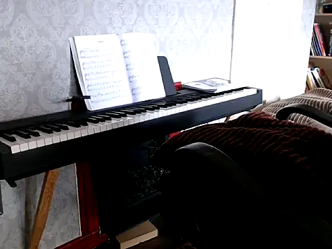 MrStraightDik online show from 02.25.25