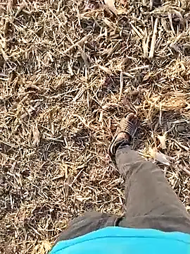 murokkk31 online show from 09.30.25