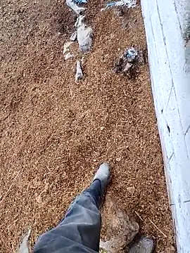 murokkk31 online show from 11.15.25