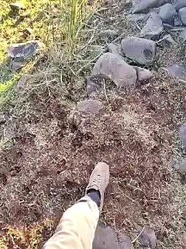 murokkk31 online show from 12.16.25