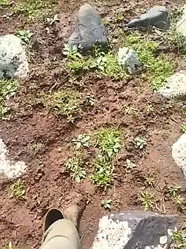 Snapshot of murokkk31 chatting on 03.30.26 murokkk31 online show from 03.30.26