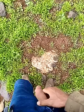 Snapshot of murokkk31 chatting on 04.01.26 murokkk31 online show from 04.01.26