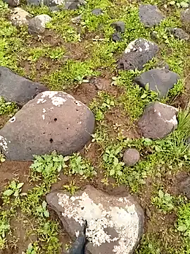 Snapshot of murokkk31 chatting on 04.03.26 murokkk31 online show from 04.03.26