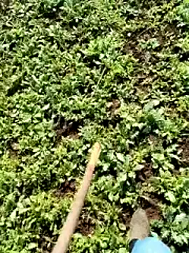 Snapshot of murokkk31 chatting on 04.06.26 murokkk31 online show from 04.06.26