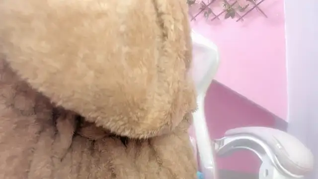 meribeth303av online show from 12.22.24